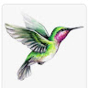 Meet your Posher, Rose